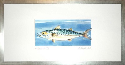 30-Makrele-Druck-Silber