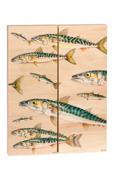 32-Atlantische Makrelen I+II