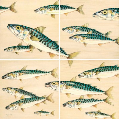 43-GroÃer Schwarm Quadrat-1