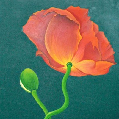 Klatschmohn - Öl auf Leinwand - Ausschnitt